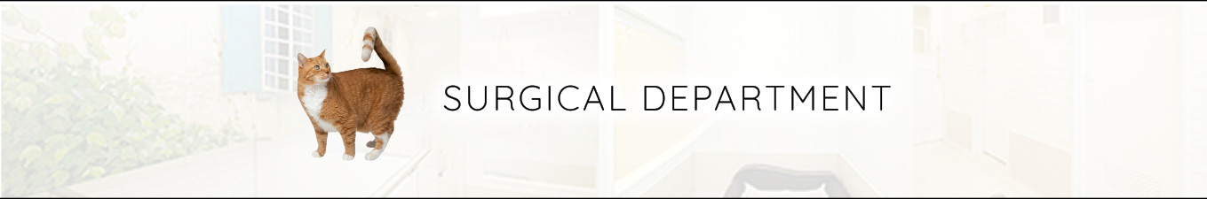SURGICAL DEPARTMENT